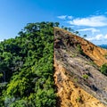 Deforestations Edge - Forest vs. Barren Land Royalty Free Stock Photo