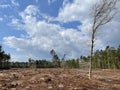 Deforesting around Vorden Royalty Free Stock Photo