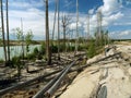 Deforestration. The impact of the extractive industry on the environment. Destroyed wood and pipes. Royalty Free Stock Photo