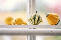 Deform squash on the window deck