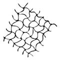 Deformed, warped, distorted hand drawn lattice, fishing net, trellis, grating texture, pattern. Black and white vector background