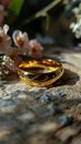 Defying Tradition: The Forbidden Love Story of Two Golden Rings