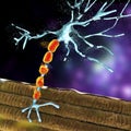 Degradation of motor neurons, conceptual 3D illustration