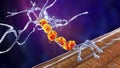 Degradation of motor neurons, conceptual 3D illustration Royalty Free Stock Photo