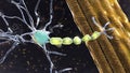 Degradation of motor neurons, conceptual 3D illustration Royalty Free Stock Photo