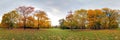 360 degree forest fall panorama Royalty Free Stock Photo