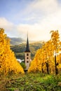 180-degree Moselle loop, vineyards, landscape and lighting in the morning, sunrise in autumn