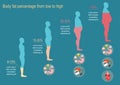 The degree of obesity. Vector illustration