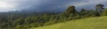 180 degree panorama of forest in Kenya Royalty Free Stock Photo
