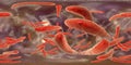 360-degree spherical panorama of bacteria Mycobacterium tuberculosis Royalty Free Stock Photo