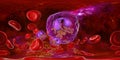 360-degree spherical panorama of blood with eosinophilia