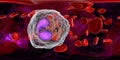 360-degree spherical panorama of eosinophil, a white blood cell in blood