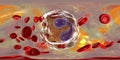 360-degree spherical panorama of eosinophil, a white blood cell in blood