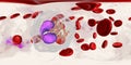 360-degree spherical panorama of eosinophil, a white blood cell in blood