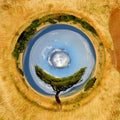 360 degree view of Landscape with tree in Africa