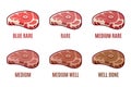 Degrees of Steak Doneness. Blue, Rare, Medium, Well, Well Done. Steak Icons Set