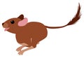 Degu squirrel rodent pet. Vector cartoon illustration