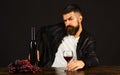 Degustator with seductive face sits by wine bottle and grapes Royalty Free Stock Photo