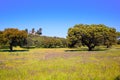 Dehesa grassland by via de la Plata way Spain Royalty Free Stock Photo