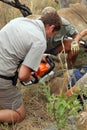 Dehorning started on large rhino after been darted and stabilize Royalty Free Stock Photo