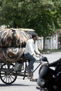A rickshaw puller going on the road with luggage Royalty Free Stock Photo