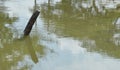 Dehydrate canal on dry season in Thailand Royalty Free Stock Photo