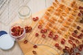 Dehydrate dried yellow and red tomatoes on stainless steel dehydrator tray and in glass jar for long term pantry in domestic