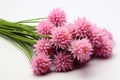 Dehydrated Chive on white background