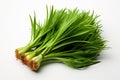Dehydrated Chive on white background
