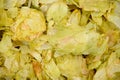 Dehydrated Hops Royalty Free Stock Photo