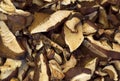 Dehydrated slices of mushrooms Royalty Free Stock Photo