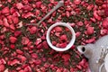 dehydrated strawberry-dried tea with mint and strawberries near tea pot. herbal tea with peppermint Royalty Free Stock Photo