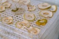 Dehydrating sheets with pieces of apples Royalty Free Stock Photo