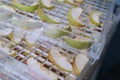 Dehydrating sheets with pieces of apples Royalty Free Stock Photo