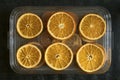 Dehydrator mesh tray with orange slices, top view, closeup, drying fruits, healthy eating