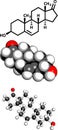 Dehydroepiandrosterone (DHEA, prasterone) steroid molecule, chemical structure