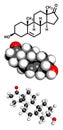 Dehydroepiandrosterone (DHEA, prasterone) steroid molecule