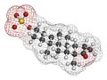 Dehydroepiandrosterone sulfate DHEA-S natural hormone molecule. 3D rendering. Atoms are represented as spheres with conventional