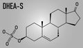 Dehydroepiandrosterone sulfate or DHEA-S natural hormone molecule. Skeletal formula.