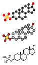 Dehydroepiandrosterone sulfate (DHEA-S) natural hormone molecule