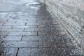 Deicing chemicals on pavement in winter. Salt grains on icy sidewalk paving slab with technical salt