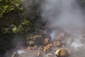 Deildartunguhver Geothermal Spring, Iceland