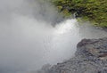 Deildartunguhver Hot Springs, Geothermal Park in the Inner Island, Iceland