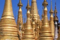 In-Dein-Pagoda Forest on Lake Inle