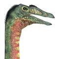 Deinocheirus Dinosaur Head