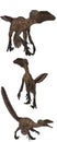 Deinonychus