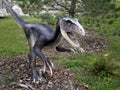 Deinonychus dinosaur Royalty Free Stock Photo