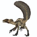 Deinonychus Dinosaur