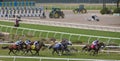 Del Mar Racetrack, California Royalty Free Stock Photo