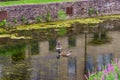 Delaware Canal Towpath and goose, Historic New Hope, PA Royalty Free Stock Photo